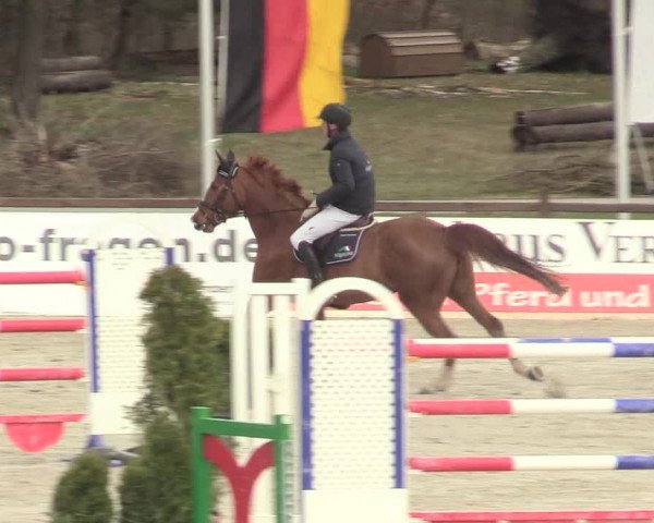 Reitturnier Westergellersen 2021