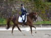 dressage horse Floretto 11 (Rhinelander, 2005, from Floribot)