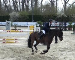 jumper Nykildegaards La Chris (Danish Warmblood, 2004, from Heinsgårdens Christa)