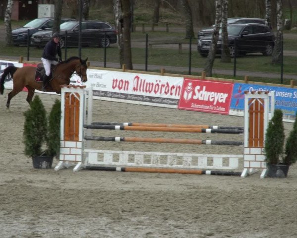 Reitturnier Westergellersen 2021