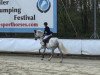 broodmare Camilla 105 (German Sport Horse, 2005, from Cancoon)