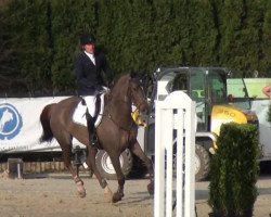 jumper Jolanda 41 (Oldenburg show jumper, 2009, from Conthargos)