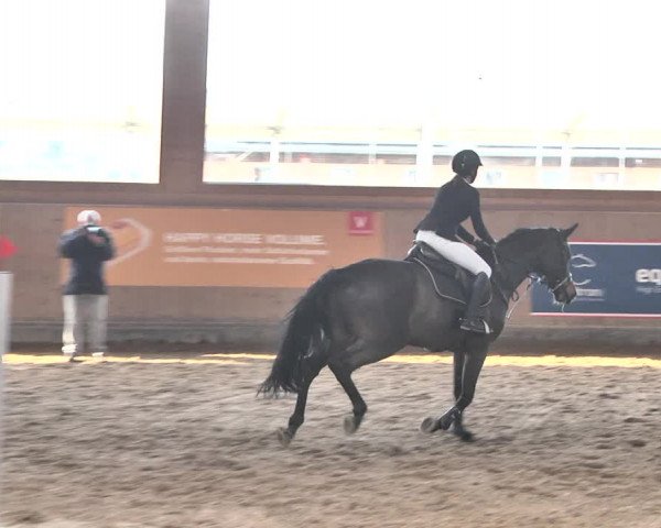 Reitturnier Gut Winkelacker/Obb. 2021