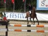 jumper Highrise (Hanoverian, 2004, from Stolzenberg)