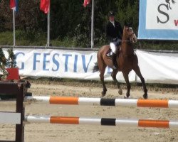 jumper Highrise (Hanoverian, 2004, from Stolzenberg)