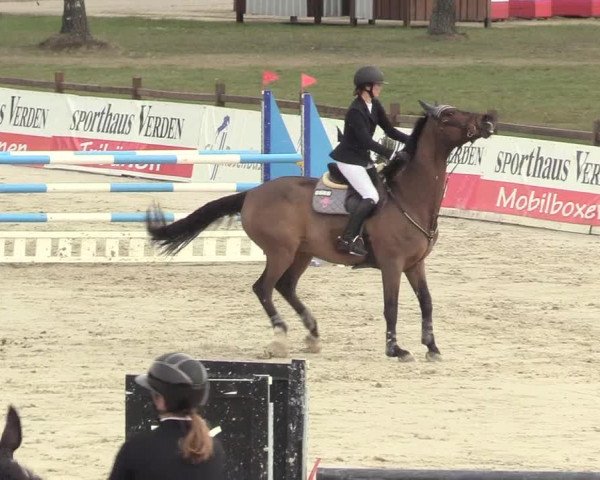 Reitturnier Westergellersen 2021