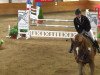 jumper Solos Liostro (Danish Warmblood, 1999, from Solos Landtinus)