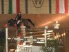 jumper Cadre Noir 6 (Polish Warmblood, 1999, from Cabrol Amicor)