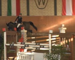 jumper Cadre Noir 6 (Polish Warmblood, 1999, from Cabrol Amicor)