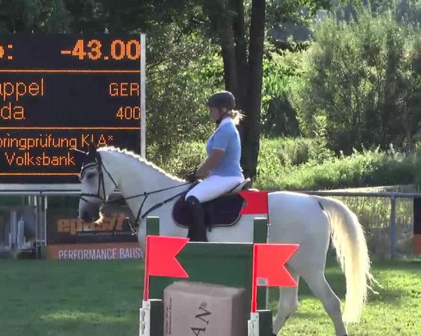 Pferd Lavanda 4 (Lettisches Warmblut, 1997, von Lagoss)