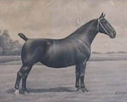 broodmare Erfdame (KWPN (Royal Dutch Sporthorse),  , from Kwaliteit)