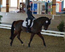 jumper Weper (New Forest Pony, 2006, from Vivienne's Vision of Freedom)