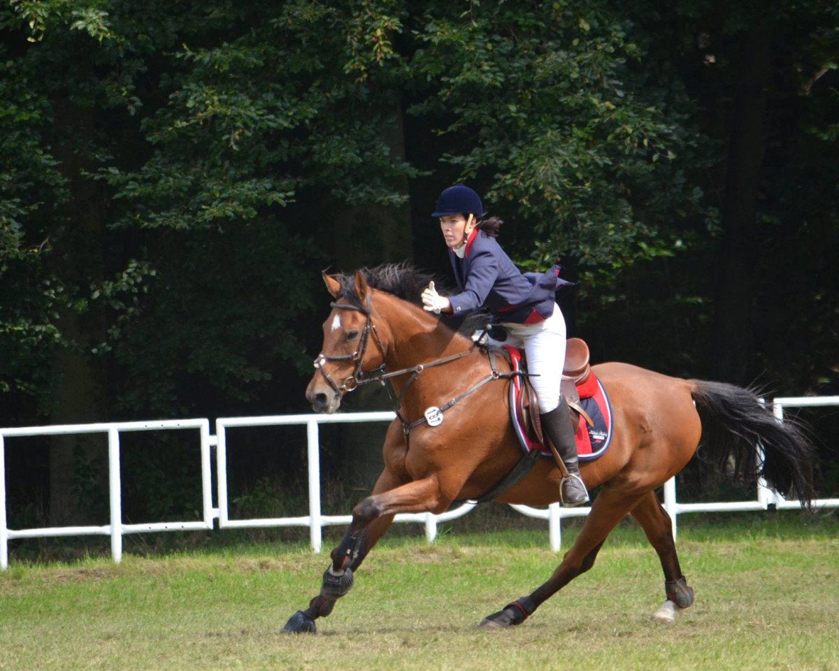 Springpferd Lesado (Brandenburger, 1996, von Lesotho)