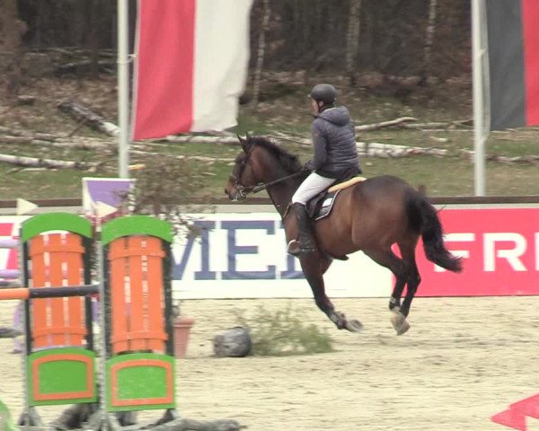 Reitturnier Westergellersen 2021