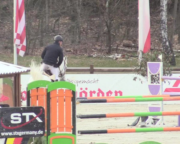 Reitturnier Westergellersen 2021