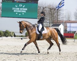 dressage horse Satton Finch Louis (Hanoverian, 2005, from Show Star)