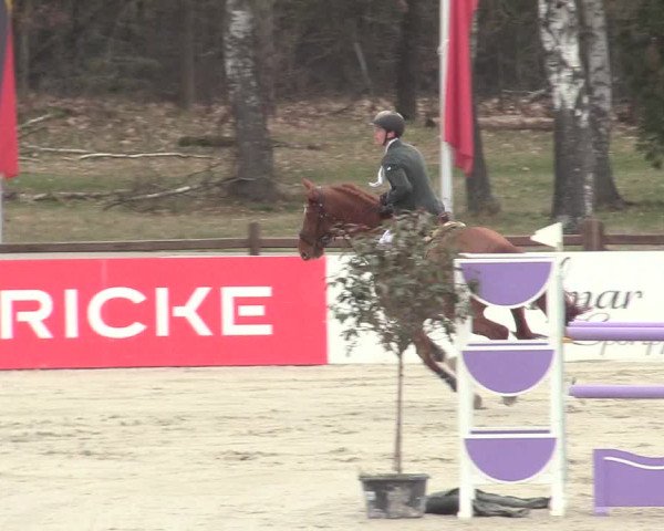 Reitturnier Westergellersen 2021