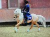 dressage horse Royal Classic 11 (German Riding Pony, 2008, from Stukhuster Ricardo Go For Gold)