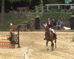 jumper Ulisina Boy (KWPN (Royal Dutch Sporthorse), 1999, from Caretino)