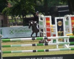 dressage horse Lutmars Kim (Welsh-Pony (Section B), 1999, from Casperhof's Freddy)