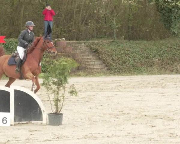 Reitturnier Nordheim-Wattenheim 2021