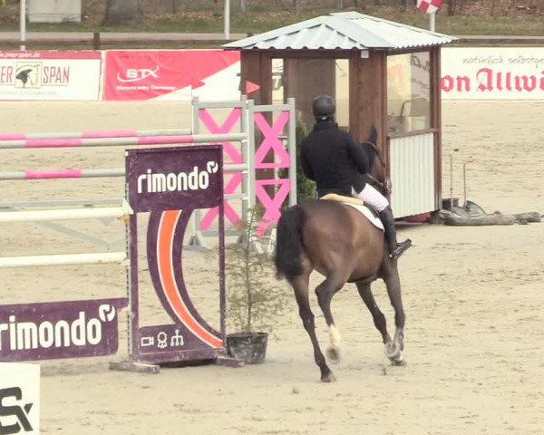Reitturnier Westergellersen 2021