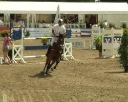 Springpferd Gamiro (Belgisches Warmblut, 2006, von Ramiro Z)