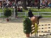 Springpferd VKs Luron de Litrange (Belgisches Warmblut, 2006, von Nabab de Rêve)