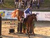 Springpferd Gea van de Zwaluwehoeve (Belgisches Warmblut, 2006, von Querlybet Hero)