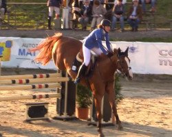 jumper Gea van de Zwaluwehoeve (Belgian Warmblood, 2006, from Querlybet Hero)