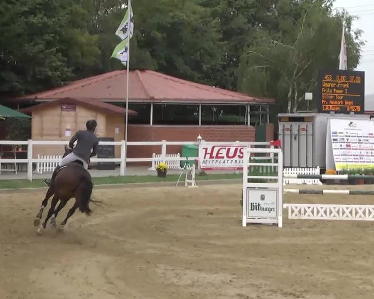 jumper Braveheart de Muze (Belgian Warmblood, 2006, from Shindler de Muze)
