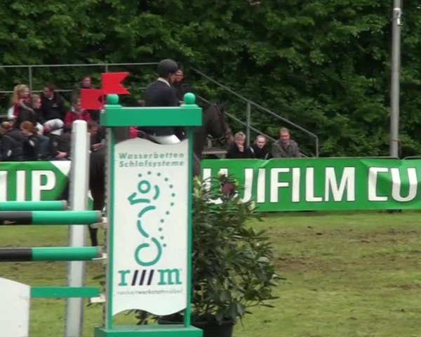 jumper Baldini van de Warande (Belgian Warmblood, 2001, from Parco)