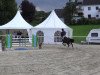 jumper Arizona van de Roshoeve (Belgian Warmblood, 2000, from Quickfeuer van Koekshof)