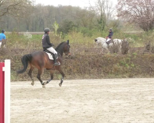 Reitturnier Nordheim-Wattenheim 2021
