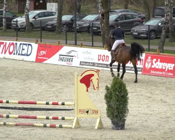 Reitturnier Westergellersen 2021