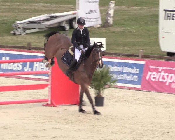 Reitturnier Westergellersen 2021
