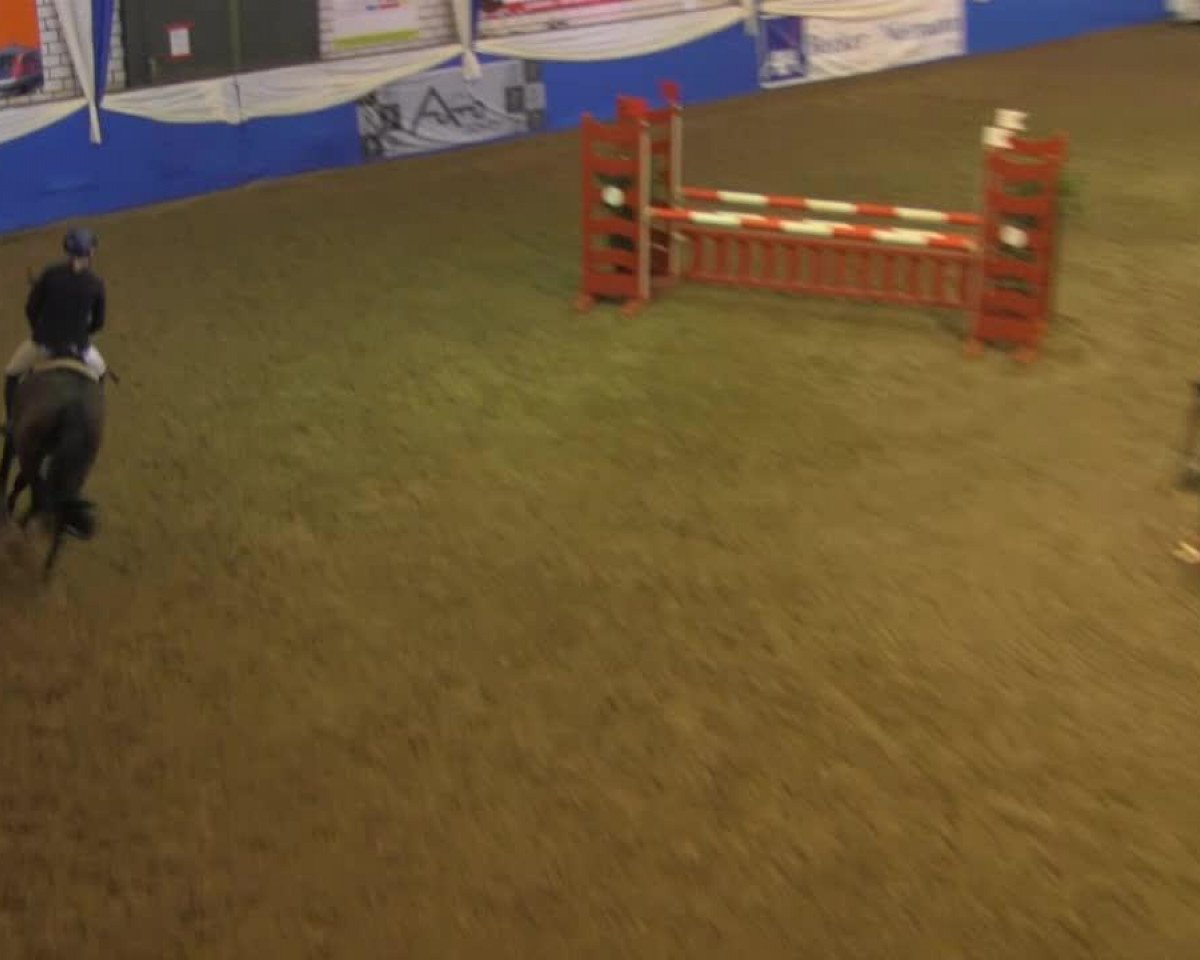 stallion Nintendo K (KWPN (Royal Dutch Sporthorse), 1991, from Nimmerdor)