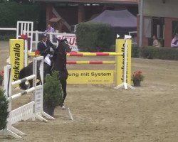 jumper Balou's Ballerina (Hanoverian, 2006, from Balou du Rouet)