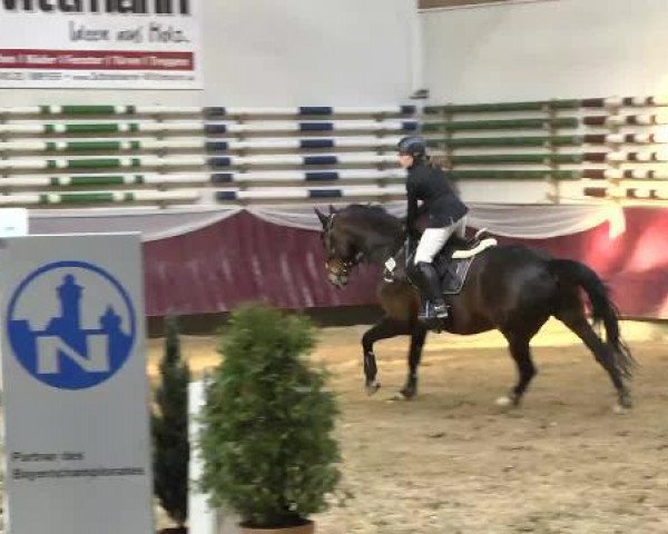 jumper Flemming 30 (Hanoverian, 2006, from For Edition)