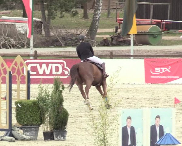 Reitturnier Westergellersen 2021