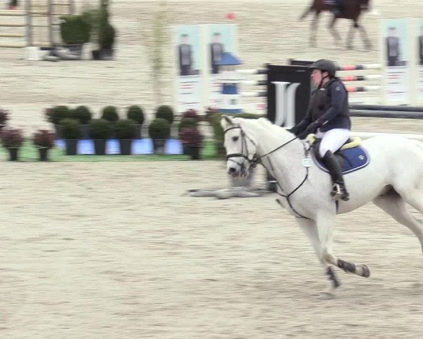 Reitturnier Westergellersen 2021