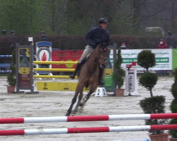 Reitturnier Münster-Handorf 2021