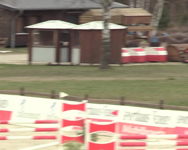 Reitturnier Westergellersen 2021
