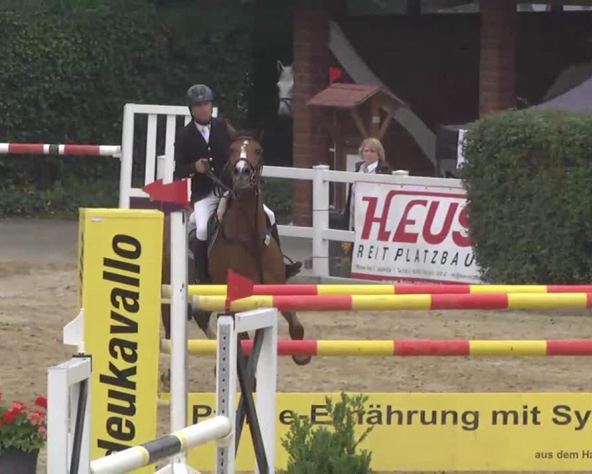 jumper Lua Lua (Oldenburg, 2006, from Ludwig von Bayern 168 FIN)