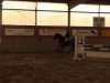 jumper Verner (Hanoverian, 2007, from Vulkan)