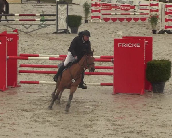 Reitturnier Westergellersen 2021