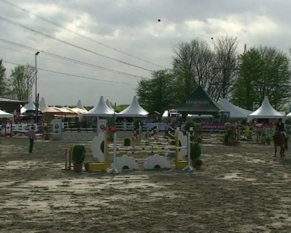 dressage horse Carnita 2 (German Warmblood, 2006, from Coco Maurice)