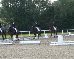 dressage horse Fiderallala (Westphalian, 2006, from Florestan I)