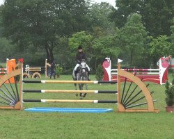 jumper Hui Buh A (Polish Warmblood, 2007, from Helanis)