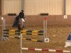 broodmare Daisy 712 (German Riding Pony, 2005, from Dornik B)